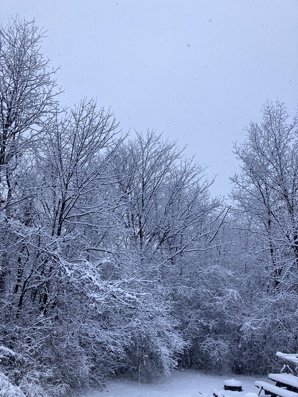 winter in ithaca